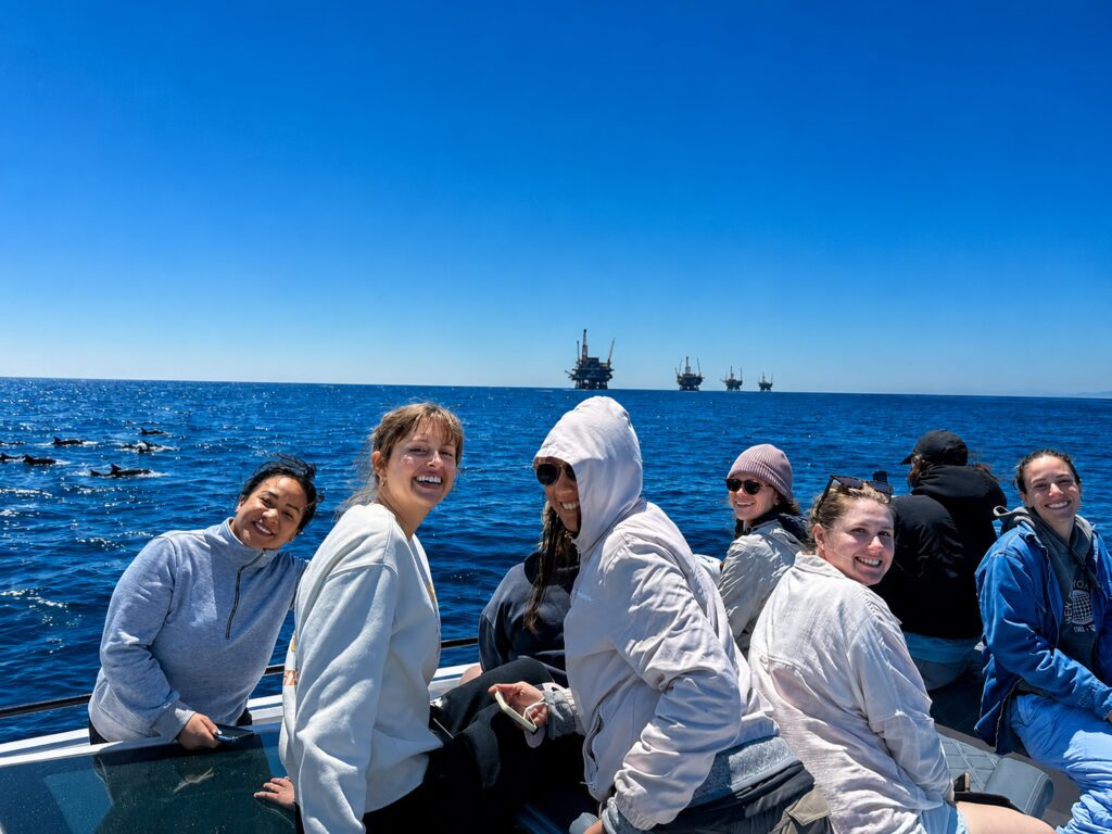 Guests spotting dolphins on an ocean cruise