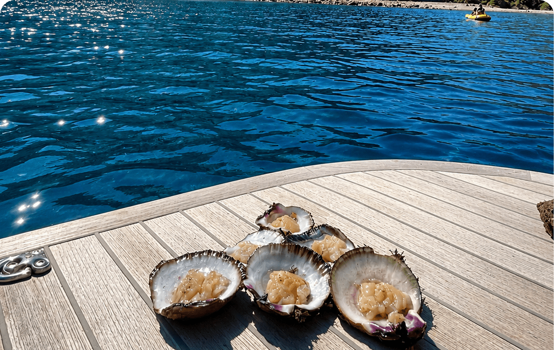 Shells on a wooden deck by water.